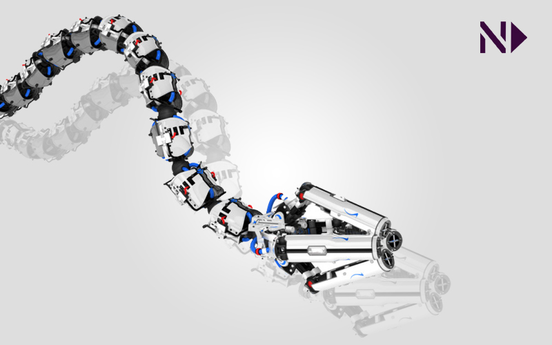 Yılan (Snake-Like) Robotlar